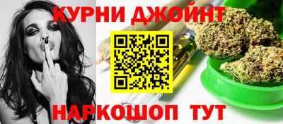 гашик Кулебаки