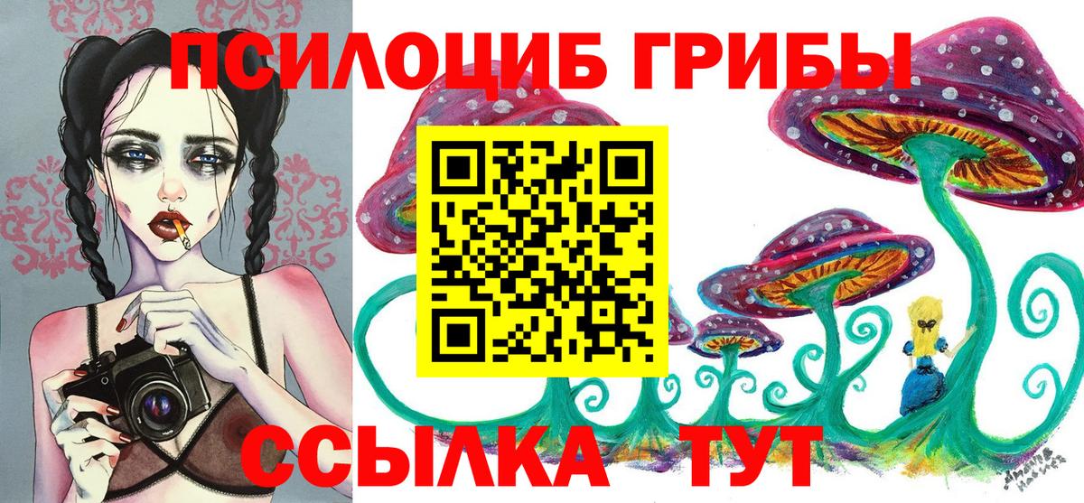 Камышин  Псилоцибиновые грибы MAGIC MUSHROOMS  Вход с VPN  Галлюциногенные грибы GOLDEN TEACHER 
