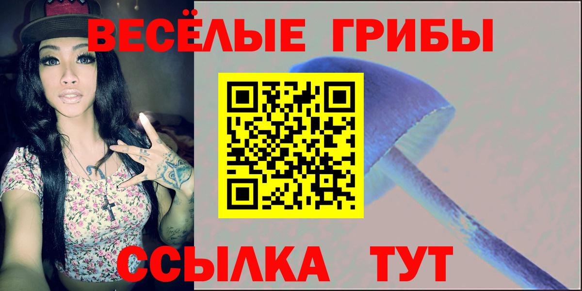 Псилоцибиновые грибы мухоморы Камышин